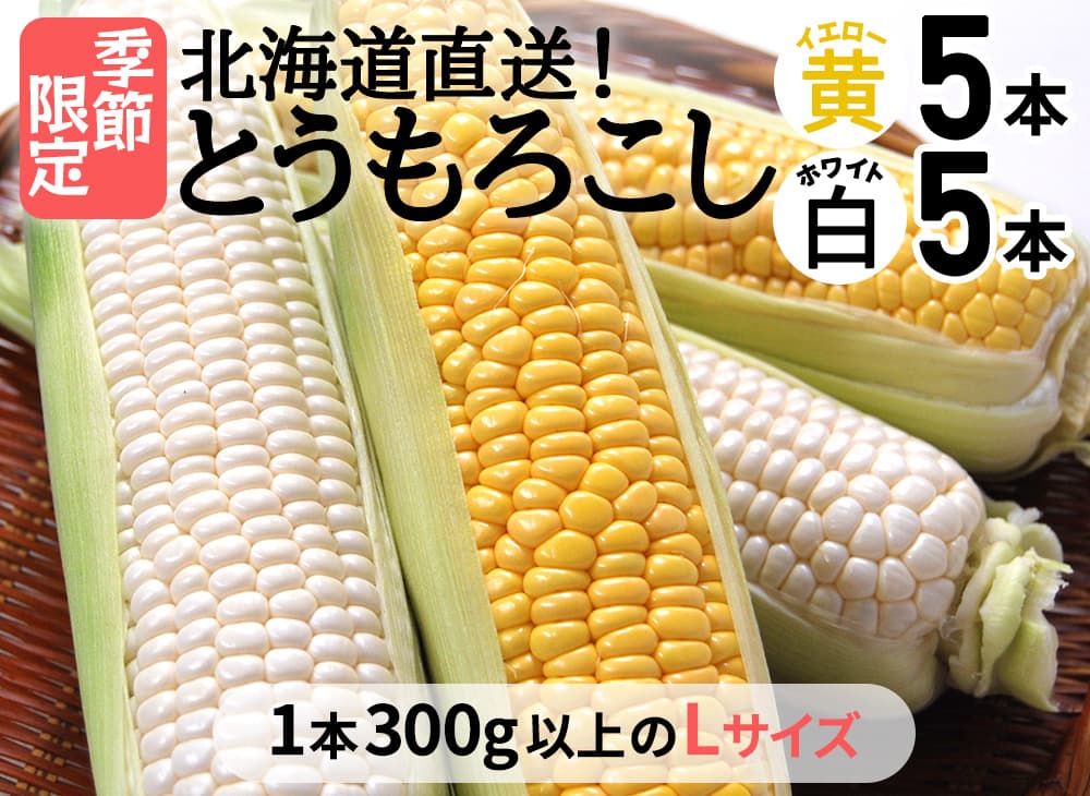 とうもろこし【白・黄】