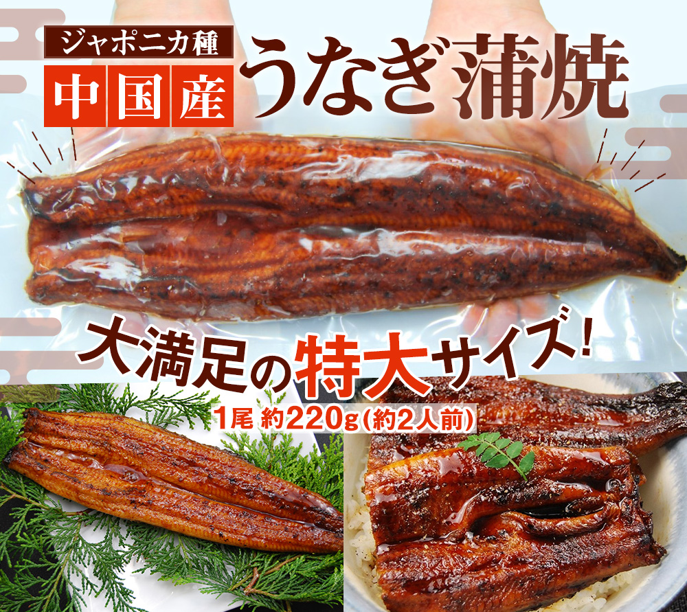 ジャポニカ種　中国産うなぎ蒲焼