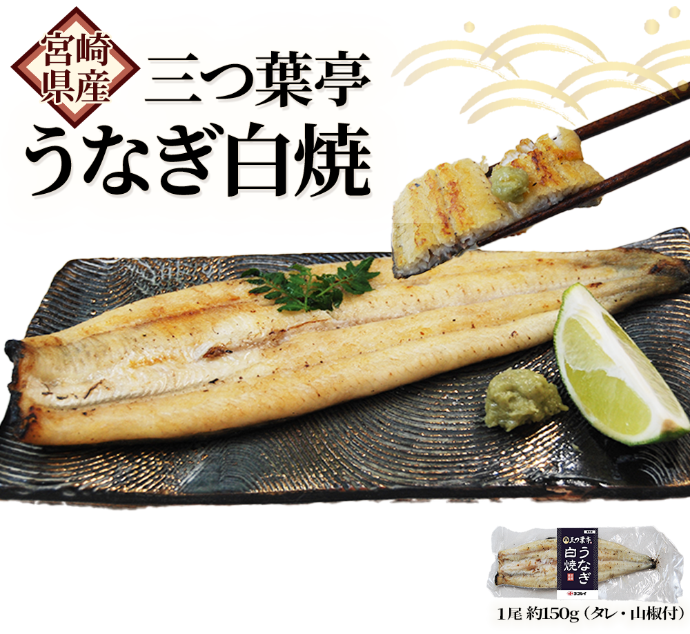 メイン