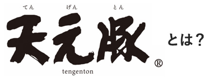 天元豚とは？
