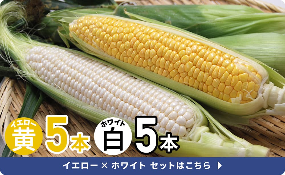 とうもろこしイエロー×ホワイトセットはこちら