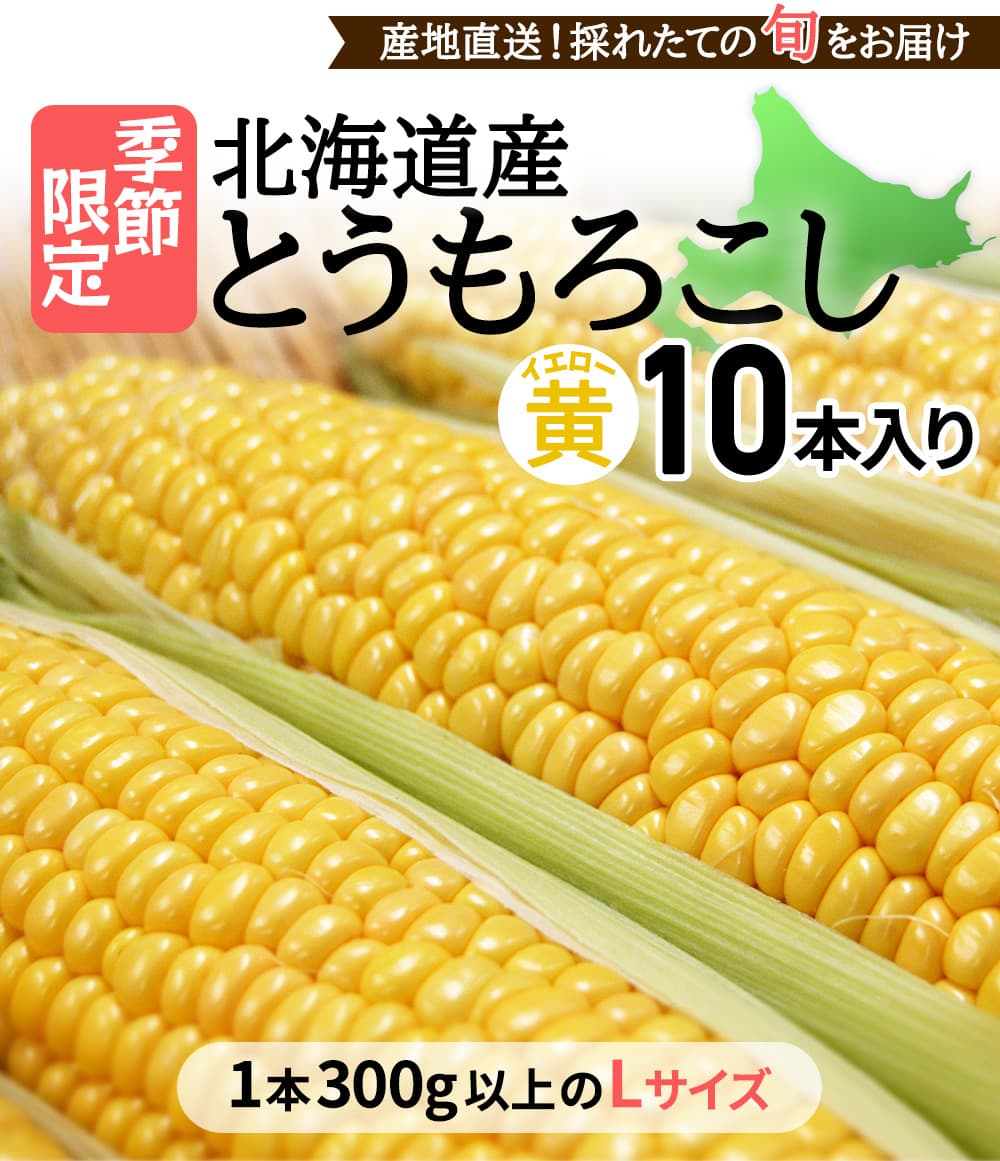 北海道産とうもろこし　イエロー10本入り