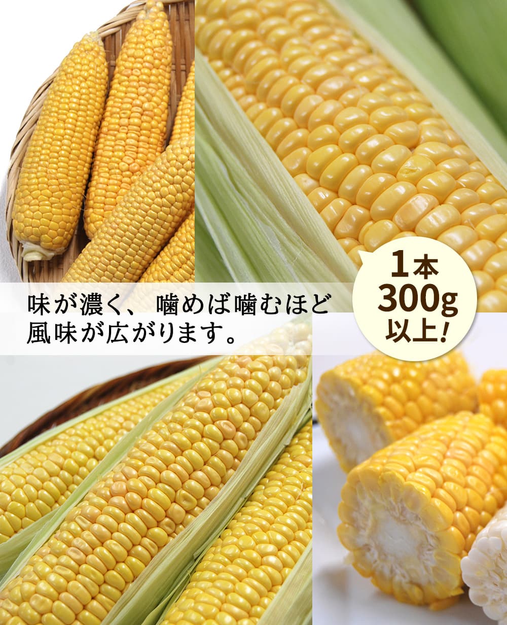 味が濃く、噛めば噛むほど風味が広がります。