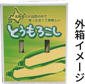 外箱のイメージです
