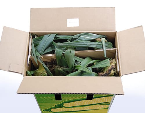 中身
